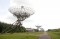 Westerbork Synthesis Radio Telescope