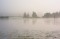 Lake Molengat in the mist (Giethoorn)