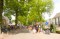 King's Day celebrations at Lage Vuursche