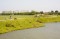 Cycling along the old sea dyke Waal en Burgerdijk