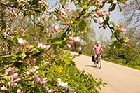 Holland - a paradise for cyclists
