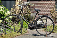 What kind of bicycle do I need?