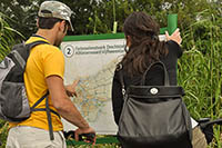 Numbered cycle network