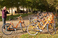 Bicycle rental